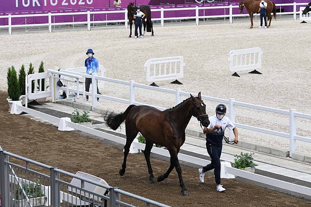 OLY-2020-DRESSAGE-JOG-7-24-21-0980-132-ISABELLA PINTO-HOT CHOCOLAT VD-KWAPLAS-FRA-DDEROSAPHOTO