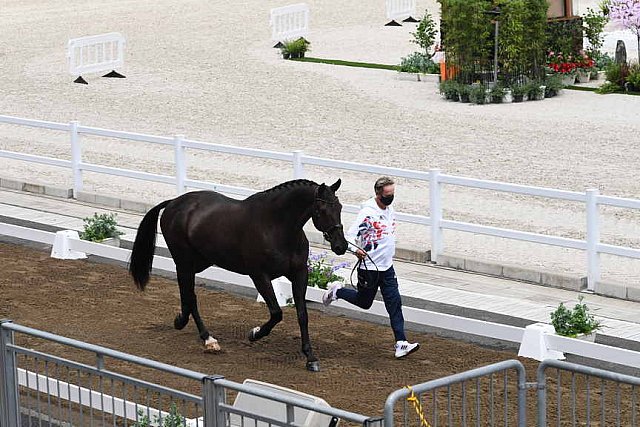 OLY-2020-DRESSAGE-JOG-7-24-21-1001-135-CARL HESTER-EN VOGUE-GBR-DDEROSAPHOTO