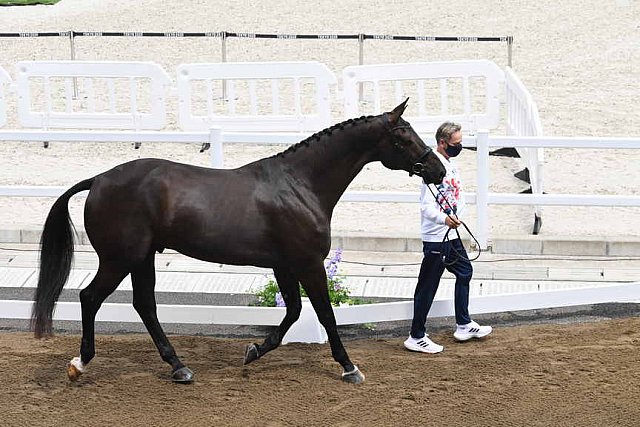 OLY-2020-DRESSAGE-JOG-7-24-21-1003-135-CARL HESTER-EN VOGUE-GBR-DDEROSAPHOTO