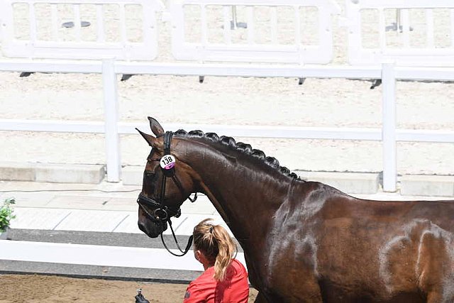 OLY-2020-DRESSAGE-JOG-7-24-21-1032-138-D SCHNEIDER-SHOWTIME FRH-GER-DDEROSAPHOTO