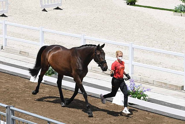 OLY-2020-DRESSAGE-JOG-7-24-21-1036-139-WERNDL-VON BREDOW-TSF DALERA-GER-DDEROSAPHOTO