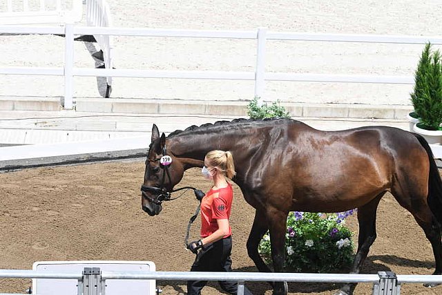 OLY-2020-DRESSAGE-JOG-7-24-21-1041-139-WERNDL-VON BREDOW-TSF DALERA-GER-DDEROSAPHOTO