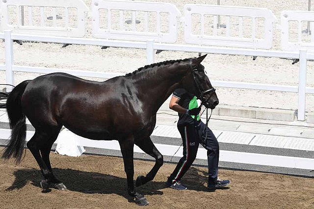 OLY-2020-DRESSAGE-JOG-7-24-21-1076-142-FRANCESCO ZAZA-WISPERING ROMANCE-ITA-DDEROSAPHOTO