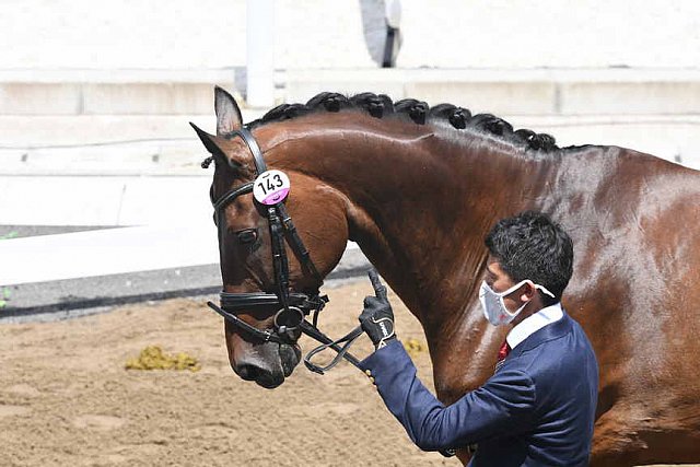 OLY-2020-DRESSAGE-JOG-7-24-21-1096-DDEROSAPHOTO