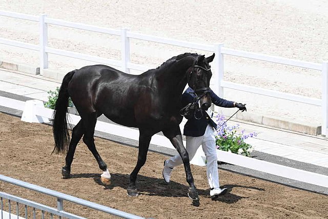 OLY-2020-DRESSAGE-JOG-7-24-21-1120-145-MASANAO TAKAHASHI-RUBICON-JPN-DDEROSAPHOTO