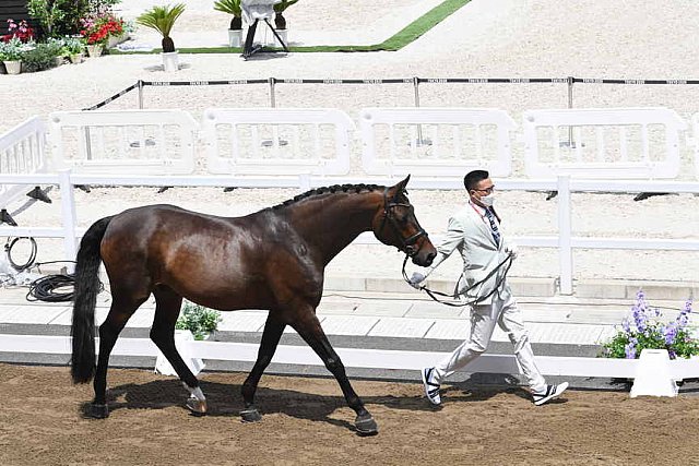 OLY-2020-DRESSAGE-JOG-7-24-21-1130-147-SEON KIM DONG-BELSTAFF-KOR-DDEROSAPHOTO