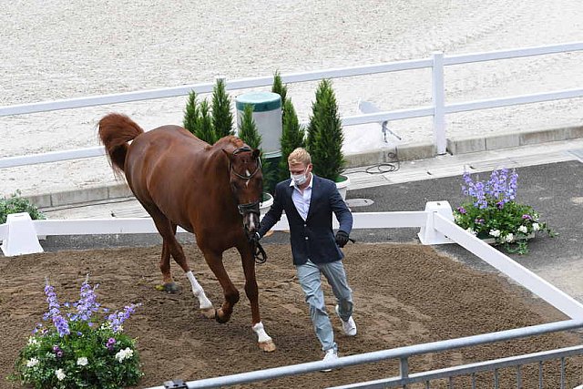 OLY-2020-DRESSAGE-JOG-7-24-21-1149-148 N WAGNER EHLINGER-QUATER BACK JUNIOR FRN-LUX-DDEROSAPHOTO