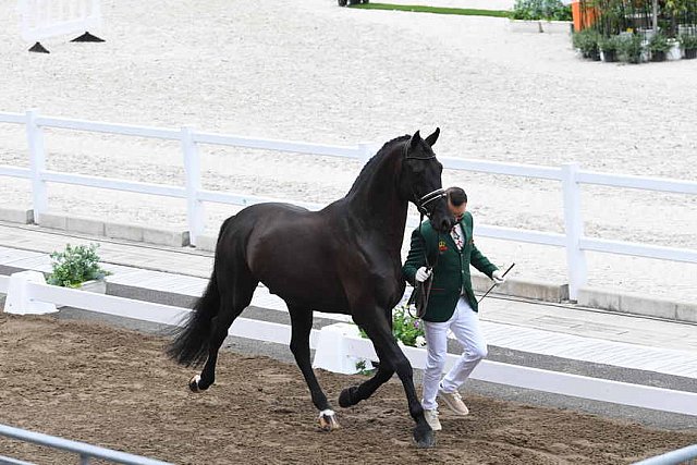 OLY-2020-DRESSAGE-JOG-7-24-21-1156-149-YESSUB RAHMOUNI-ALL AT ONCE-MOR-DDEROSAPHOTO