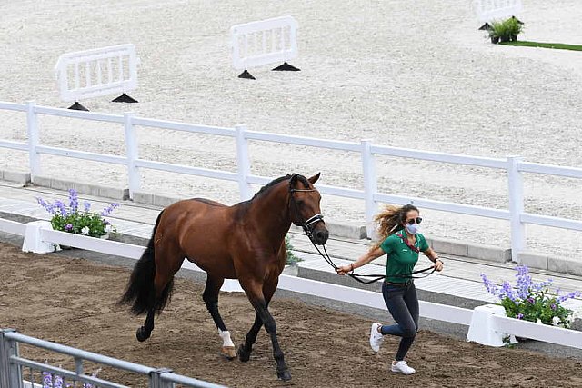 OLY-2020-DRESSAGE-JOG-7-24-21-1164-150-QUIRARTE DE VALLE-BEDUINO LAM-MEX-DDEROSAPHOTO