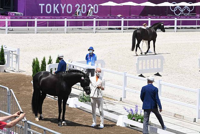 OLY-2020-DRESSAGE-JOG-7-24-21-1200-152-HP MINDERHOUD-DREAM BOY-NED-DDEROSAPHOTO