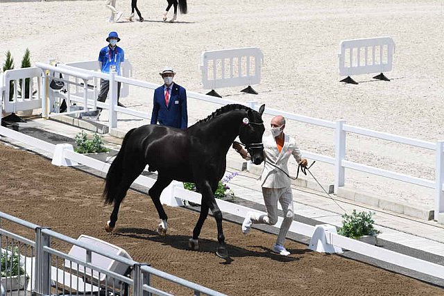 OLY-2020-DRESSAGE-JOG-7-24-21-1201-152-HP MINDERHOUD-DREAM BOY-NED-DDEROSAPHOTO