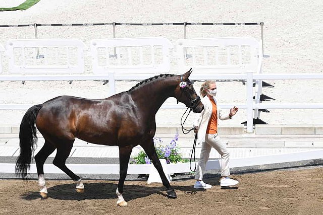 OLY-2020-DRESSAGE-JOG-7-24-21-1229-154-DINGE VAN LIERE-HAUTE COUTURE-NED-DDEROSAPHOTO