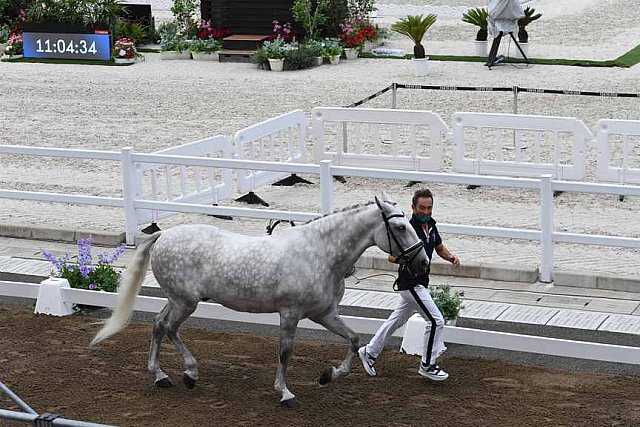 OLY-2020-DRESSAGE-JOG-7-24-21-1258-155-CARLOS PINTO-SULTAO MENEZES-POR-DDEROSAPHOTO