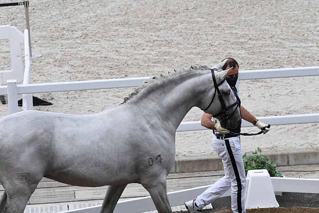 OLY-2020-DRESSAGE-JOG-7-24-21-1279-158-RODRIGO TORRES-FOGOSO-POR-DDEROSAPHOTO