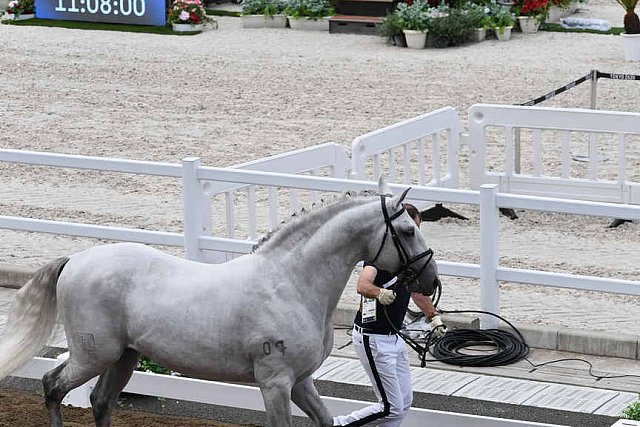 OLY-2020-DRESSAGE-JOG-7-24-21-1286-158-RODRIGO TORRES-FOGOSO-POR-DDEROSAPHOTO