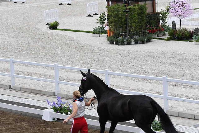 OLY-2020-DRESSAGE-JOG-7-24-21-1296-159-TATYANA KOSTERINA-DIAVOLESSA VA-ROC-DDEROSAPHOTO