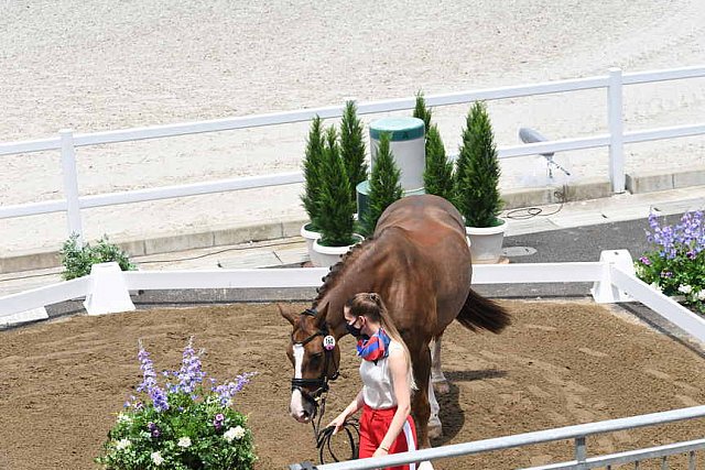 OLY-2020-DRESSAGE-JOG-7-24-21-1308-160-A MAKSAKOVA-BOJENGELS-ROC-DDEROSAPHOTO