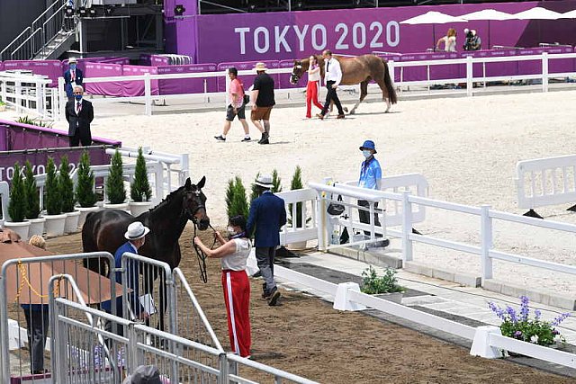 OLY-2020-DRESSAGE-JOG-7-24-21-1310-160-INESSA MERKULOVA-MISTER X-ROC-DDEROSAPHOTO