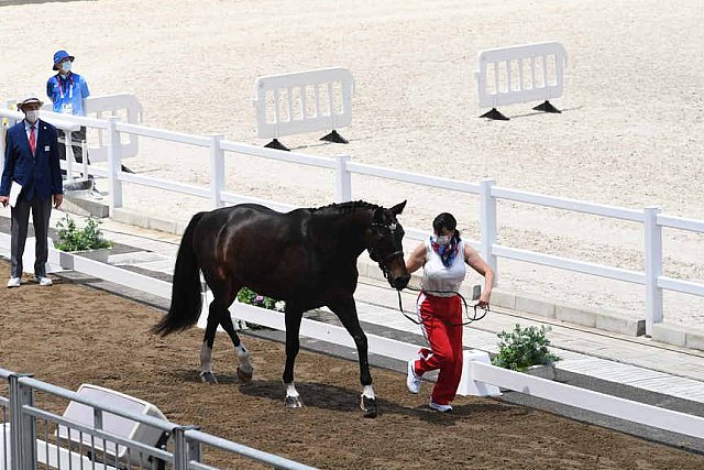 OLY-2020-DRESSAGE-JOG-7-24-21-1311-160-INESSA MERKULOVA-MISTER X-ROC-DDEROSAPHOTO