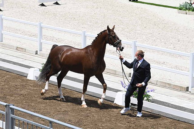 OLY-2020-DRESSAGE-JOG-7-24-21-1322-162-MARIA SHUVALOVA-FAMOUS CROSS-ROC-DDEROSAPHOTO