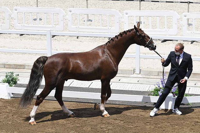 OLY-2020-DRESSAGE-JOG-7-24-21-1325-162-MARIA SHUVALOVA-FAMOUS CROSS-ROC-DDEROSAPHOTO