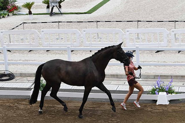 OLY-2020-DRESSAGE-JOG-7-24-21-1355-165-ESTELLE WETTSTEIN-WEST SIDE STORY OLD-SUI-DDEROSAPHOTO