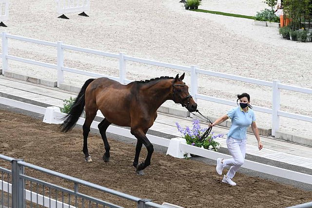 OLY-2020-DRESSAGE-JOG-7-24-21-1403-170-INNA LUGUTENKOVA-FLERARO-UKR-DDEROSAPHOTO