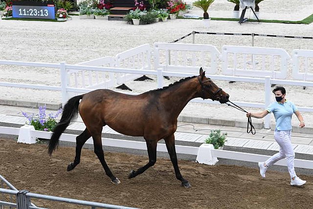 OLY-2020-DRESSAGE-JOG-7-24-21-1405-170-INNA LUGUTENKOVA-FLERARO-UKR-DDEROSAPHOTO