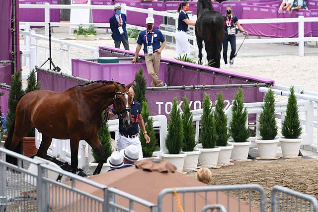 OLY-2020-DRESSAGE-JOG-7-24-21-1431-172-STEFFEN PETERS-SUPPERKASPER-USA-DDEROSAPHOTO