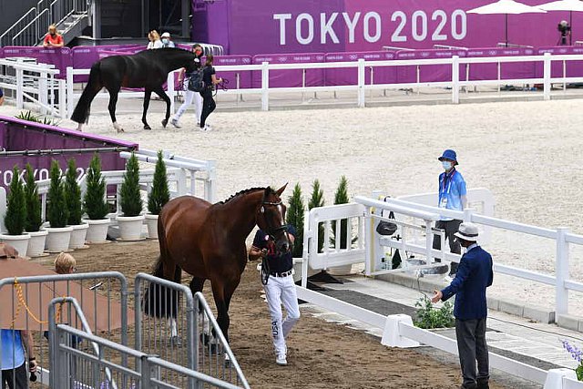 OLY-2020-DRESSAGE-JOG-7-24-21-1435-172-STEFFEN PETERS-SUPPERKASPER-USA-DDEROSAPHOTO