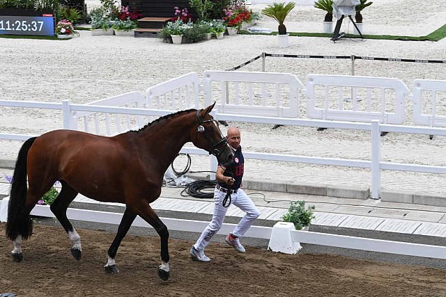 OLY-2020-DRESSAGE-JOG-7-24-21-1449-172-STEFFEN PETERS-SUPPERKASPER-USA-DDEROSAPHOTO