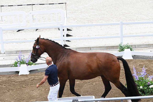 OLY-2020-DRESSAGE-JOG-7-24-21-1460-172-STEFFEN PETERS-SUPPERKASPER-USA-DDEROSAPHOTO