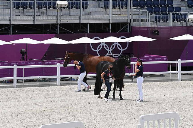 OLY-2020-DRESSAGE-JOG-7-24-21-1466-172-STEFFEN PETERS-SUPPERKASPER-USA-DDEROSAPHOTO