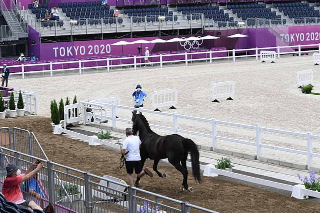 OLY-2020-DRESSAGE-JOG-7-24-21-1511-174-NICK- WAGMAN-DON JOHN-USA-DDEROSAPHOTO