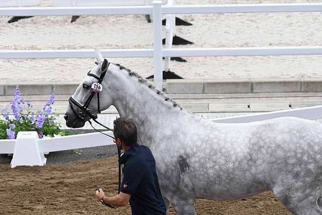 OLY-2020-DRESSAGE-JOG-7-24-21-1523-156-CARLOS PINTO-SULTAO MENEZES-POR-DDEROSAPHOTO