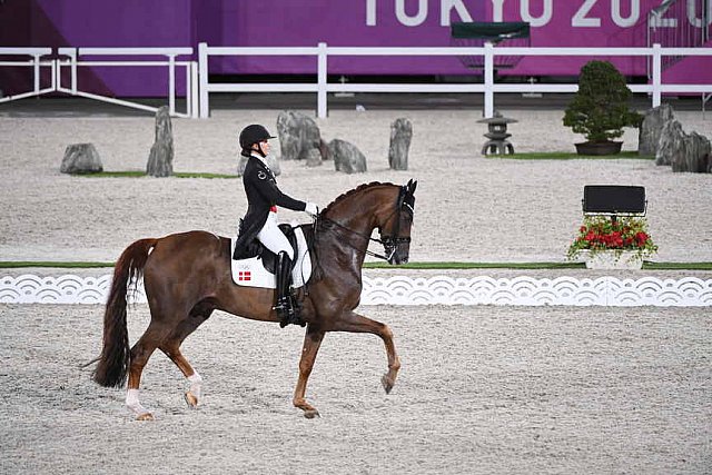 OLY-2020-DRESSAGE-GP DAY1-7-24-21-5444-118-CATHRINE DUFOUR-BOHEMIAN-DEN-DDEROSAPHOTO