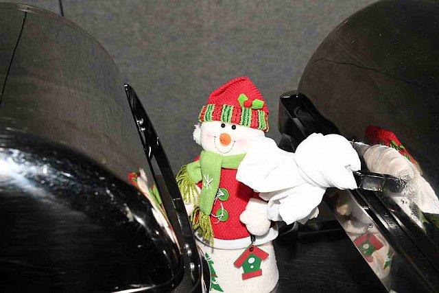 PCLI-XMas-12-1-17-3317-DDeRosaPhoto