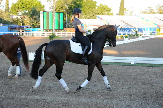 PanAmGames-MX-10-15-11-5119-MarisaFesterling-BigTyme-DDeRosaPhoto.JPG