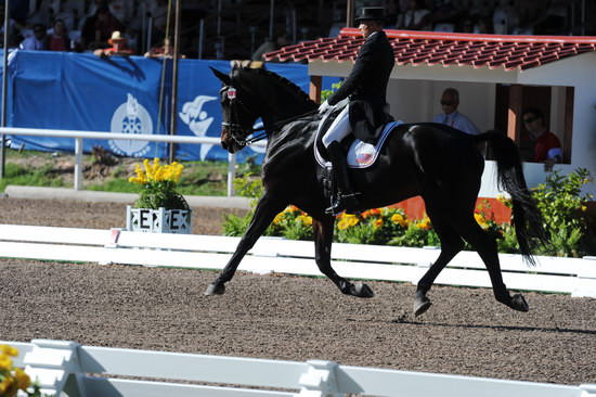 PanAmGames-MX-10-16-11-5893-SteffenPeters-WeltonsMagic-DDeRosaPhoto.JPG