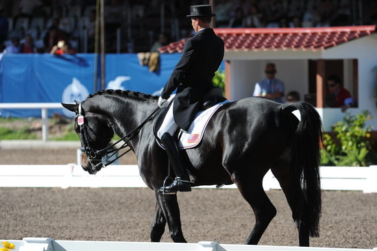 PanAmGames-MX-10-16-11-5954-SteffenPeters-WeltonsMagic-DDeRosaPhoto.JPG