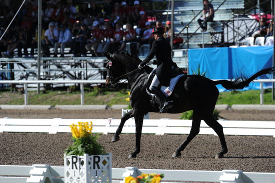 PanAmGames-MX-10-16-11-6008-SteffenPeters-WeltonsMagic-DDeRosaPhoto.JPG