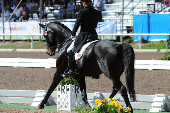 PanAmGames-MX-10-17-11-8741-SteffenPeters-WeltinosMagic-USA-DDeRosaPhoto.JPG