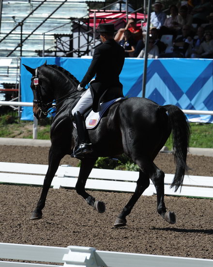 PanAmGames-MX-10-17-11-8804-SteffenPeters-WeltinosMagic-USA-DDeRosaPhoto.JPG