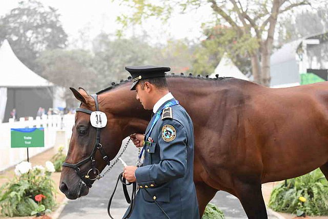 PanAm-Peru-EV-8-1-19-0623-JoseAlanTrianaMartinez-Violento-MEX-DDeRosaPhoto