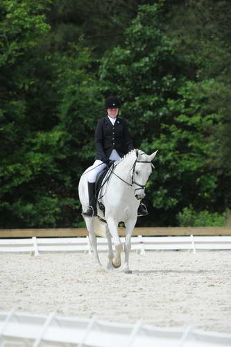 So8ths-5-4-12-Dressage-0786-KaylinMedlin-Watch-Me-Now-DDeRosaPhoto