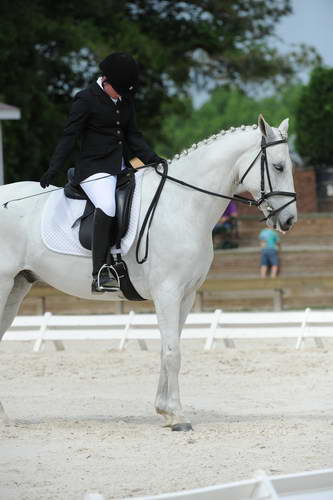 So8ths-5-4-12-Dressage-0794-KaylinMedlin-Watch-Me-Now-DDeRosaPhoto