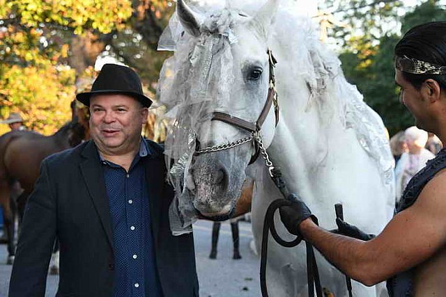 Tryon-10-27-17-2376-DDeRosaPhoto