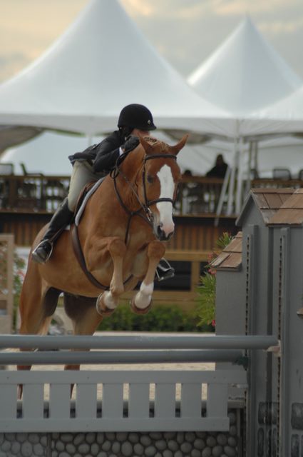 599-JessicaSpringsteen-Tiziano-WEF-3-30-08-DeRosaPhoto.jpg