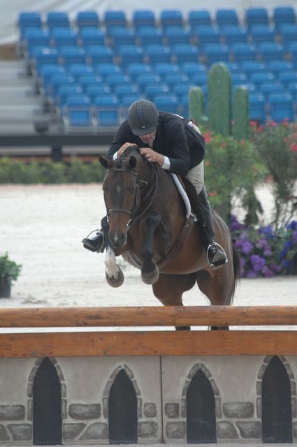 629-Athena-RobBielefeld-AHJFHunterClassic-2-21-08-2ndYr-A-DeRosaPhoto