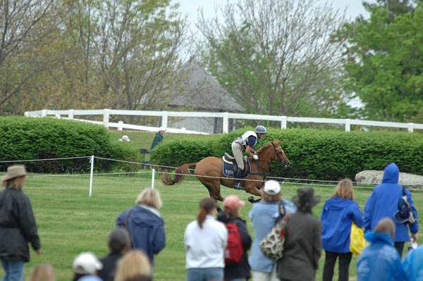 734-KarenOConnor-Teddy-Rolex-4-26-08-DeRosaPhoto